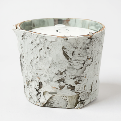 Birch Pot Candle [8oz]